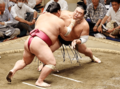 朝乃山、大栄翔に敗れる　大相撲秋場所１０日目
