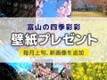 壁紙プレゼント（２０２５年３月） 今月は「ホタルイカ」「カワヅザクラ」「菜の花」