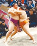 朝乃山痛い３敗、白鵬と２差　九州場所１２日目