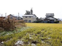 富山・婦中でクマによる人身被害、２人が顔などにけが　４日未明