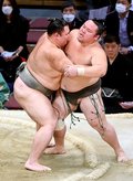 朝乃山 十両復帰濃厚　大相撲九州場所１３日目　完勝で締め６勝１敗