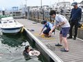 海の事故に備え訓練　富山で５０人参加
