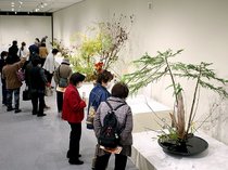 季節の風情、みずみずしく　魚津で北日本いけばな展開幕