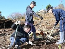 氷見・臼が峰公園展望台の絶景復活　住民が桜やモミジ植樹