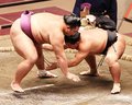 朝乃山 照強押し出し４連勝　秋場所７日目