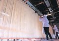 砺波で特産の大門そうめん作り最盛期