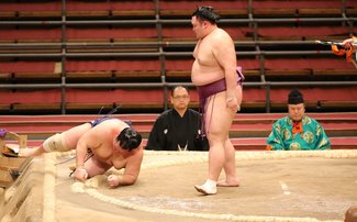 朝乃山４連勝、北勝富士をすくい投げ　春場所４日目