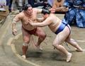 元横綱白鵬「右の使い方抜群」