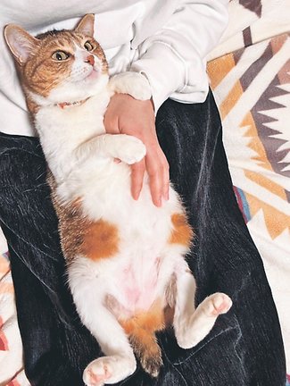 獣医のカルテ９８<br />日頃の健康チェック／みさき動物病院長（高岡市京田）三崎将人