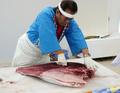 返礼品はマグロ解体ショー体験