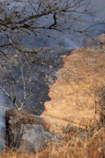 「山焼き」、点火の男性死亡