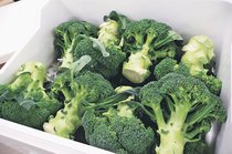 ＜旬を召し上がれ＞ブロッコリー<br />うまみ そのまま味わう