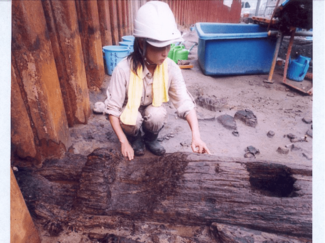 １１月４日の歴史<br />桜町遺跡から縄文中期の建築部材出土を発表　１９８８年