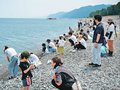 朝日・ヒスイ海岸で町民が石拾い集める　泊駅南公園「足つぼコース」作りに一役