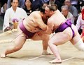 朝乃山、栃ノ心寄り切り２勝３敗　名古屋場所５日目