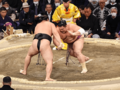 朝乃山、霧島に敗れ負け越し　大相撲九州場所９日目