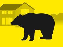 福井のこども園近くに親子クマ