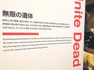 ＜論考２０２６＞<br />アイヌ遺骨盗掘問題　現象学者・村上靖彦
