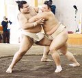 朝乃山 高安に１勝１３敗　合同稽古第３日、結果ぼろぼろだけど前向き
