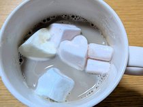 雪の日に温かいココア☕️でサプライズ