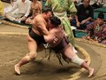 朝乃山、本領発揮３連勝　大相撲秋場所５日目