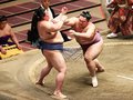 朝乃山白星、優勝ならず　７月場所千秋楽