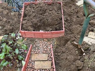 ㊲土を掘り起こすだけ！「寒おこし」でフカフカの土に【富山でつくる！ポタジェガーデン】