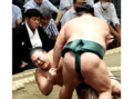 朝乃山、３連勝逃す　大相撲秋場所３日目