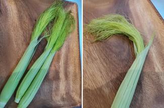 （32）甘くてプチプチ歯ごたえ！ベビーコーン丸焼き【やちやちが行く！！】