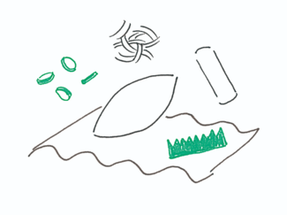 のり弁の妄想が始まる　<br />島 楓果