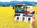 ２４年産１等米比率、富山８９・４％　農水省発表