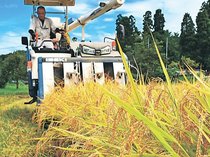 ２５年県産米３２９１トン増産　需要堅調で２年連続