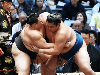 朝乃山６勝目、十両トップに並ぶ　大相撲春場所７日目