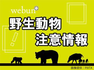 クマ出没情報（１１月２２日発表）
