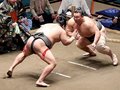 朝乃山５連勝で夏場所６勝１敗　名古屋場所勝ち越せば再十両も