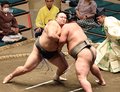朝乃山５連勝　大相撲秋場所９日目