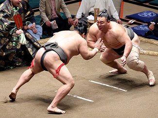 朝乃山５連勝で夏場所６勝１敗　名古屋場所勝ち越せば再十両も