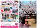 お花見3選🌸幻想的な下条川＆満開の城址公園＆五福公園