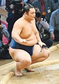 朝乃山５勝目　巨漢の碧山寄り切る