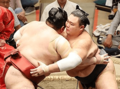 「朝乃山を小結に！」ＳＮＳが三役切望　３０日に番付発表