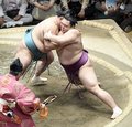 朝乃山、玉鷲に押し出され２敗目　夏場所１２日目