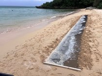 石垣島の海岸で紙すき 波の動きを反映【大阪・関西万博 和紙アート立山から世界へ<5>「沖縄」】
