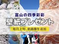 壁紙プレゼント（２０２４年４月）