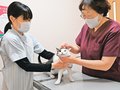 マダニ感染症に注意、ペット通しうつることも　県内獣医師「予防薬投与を」