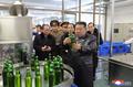 金正恩氏、ビール生産称賛