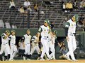 富山サンダーバーズ　2011年の成績