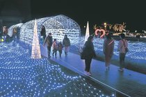 光で彩る幻想空間　クロスランドおやべ、街路樹にもＬＥＤ設置