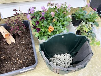 （92）空間を花で彩ろう♪吊り下げて飾る「ハンギングバスケット」作りに挑戦【やちやちが行く！！】