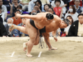 朝乃山、痛い３敗目　大相撲名古屋場所７日目