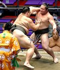 朝乃山４連勝で勝ち越し　大相撲名古屋場所７日目
